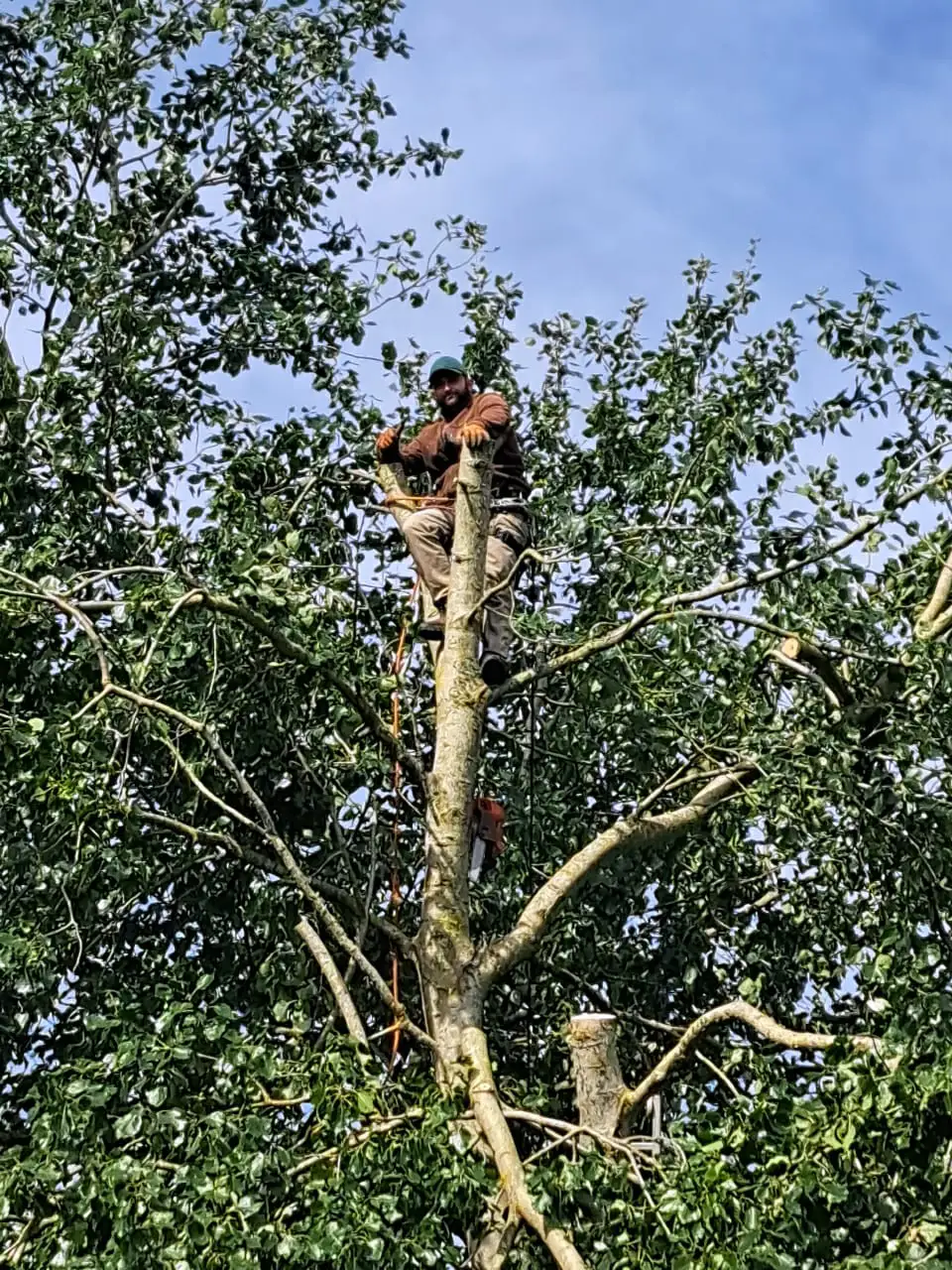 Jason Tinten en haut d'un arbre