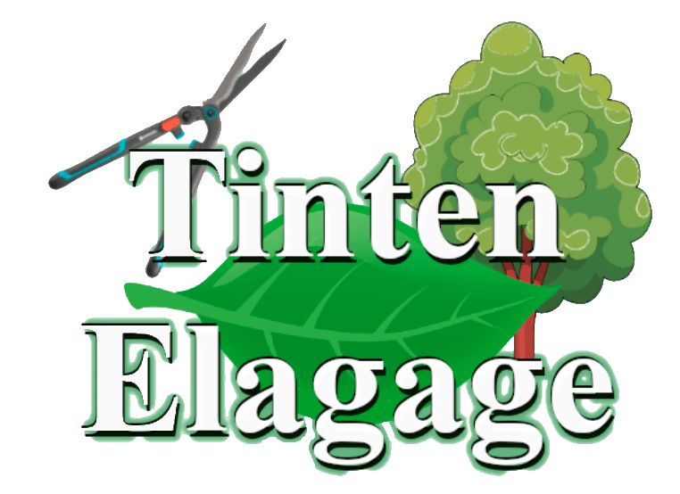 LOGO TINTEN